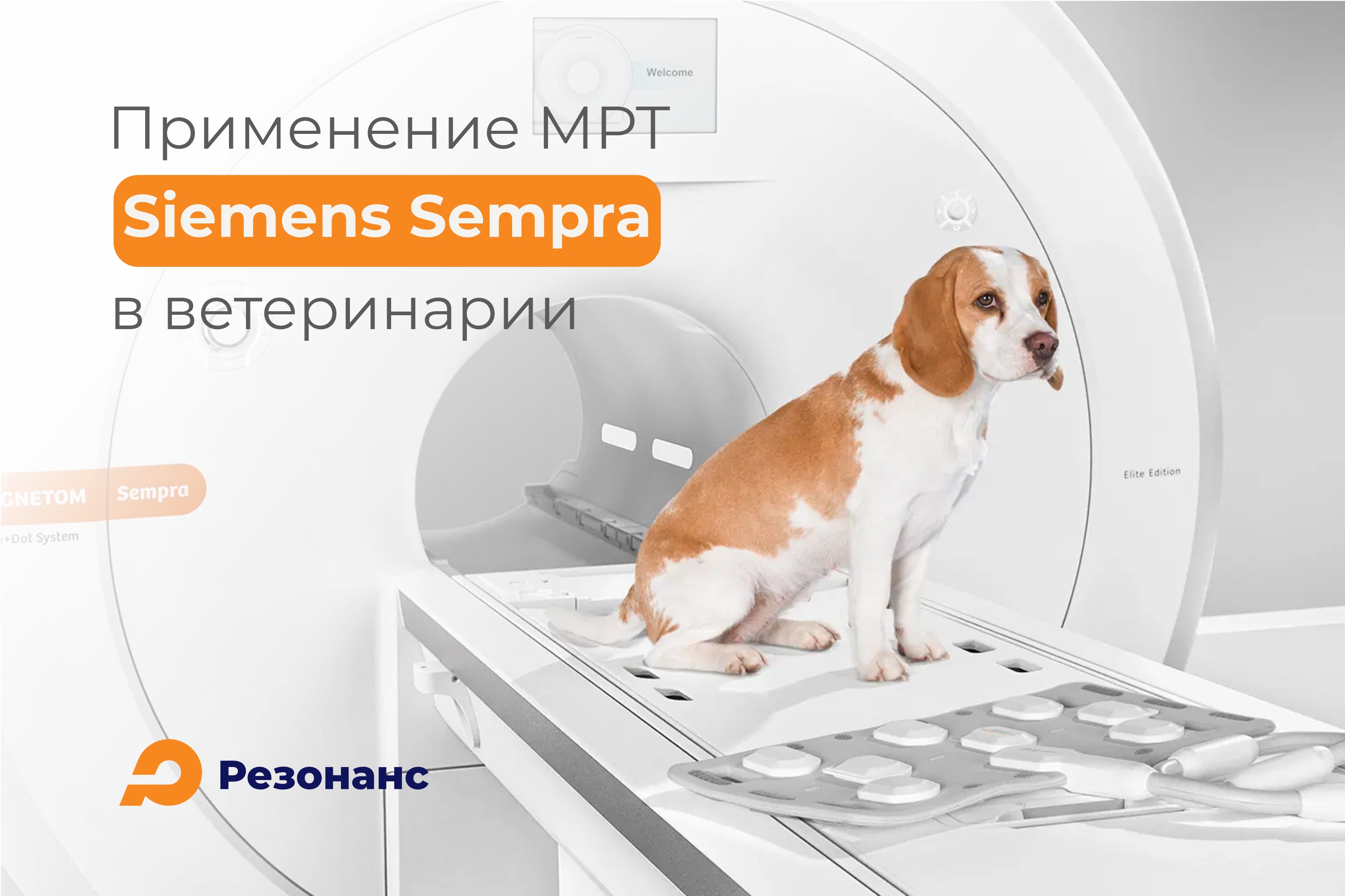 Использование МРТ аппарата Siemens Sempra 1,5Т в ветеринарии